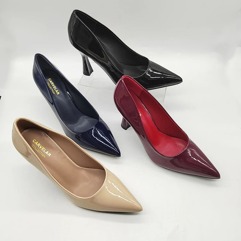 Women Singer Shoes Ladies Pointed Closed Toe Stiletto Heel