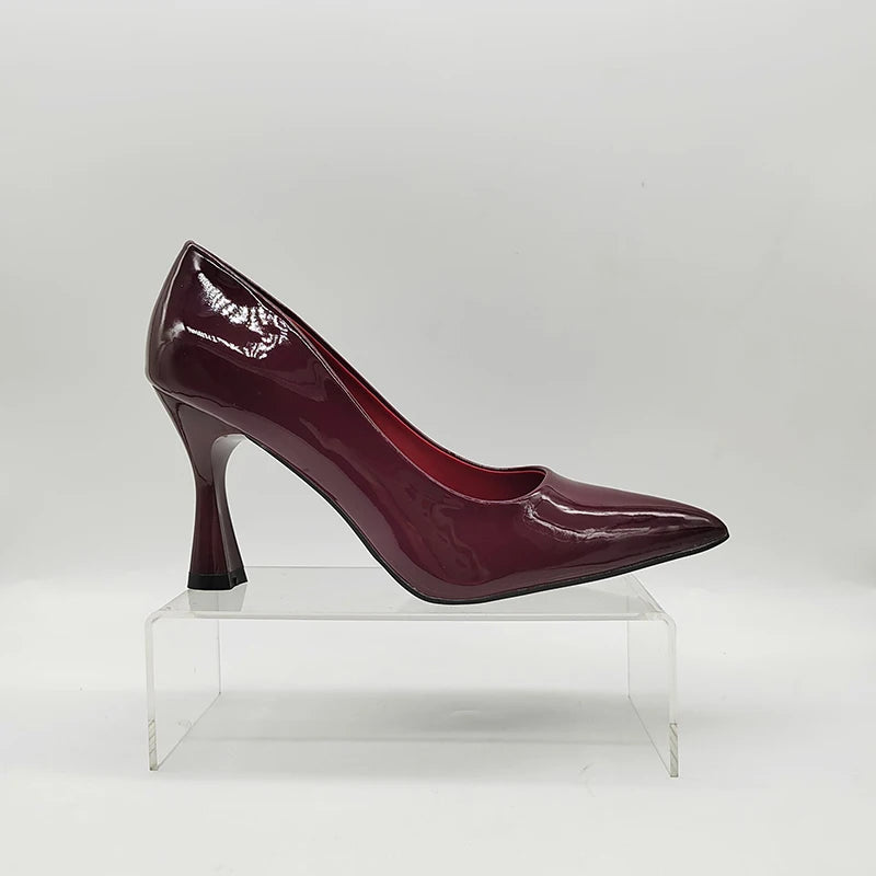 Women Singer Shoes Ladies Pointed Closed Toe Stiletto Heel