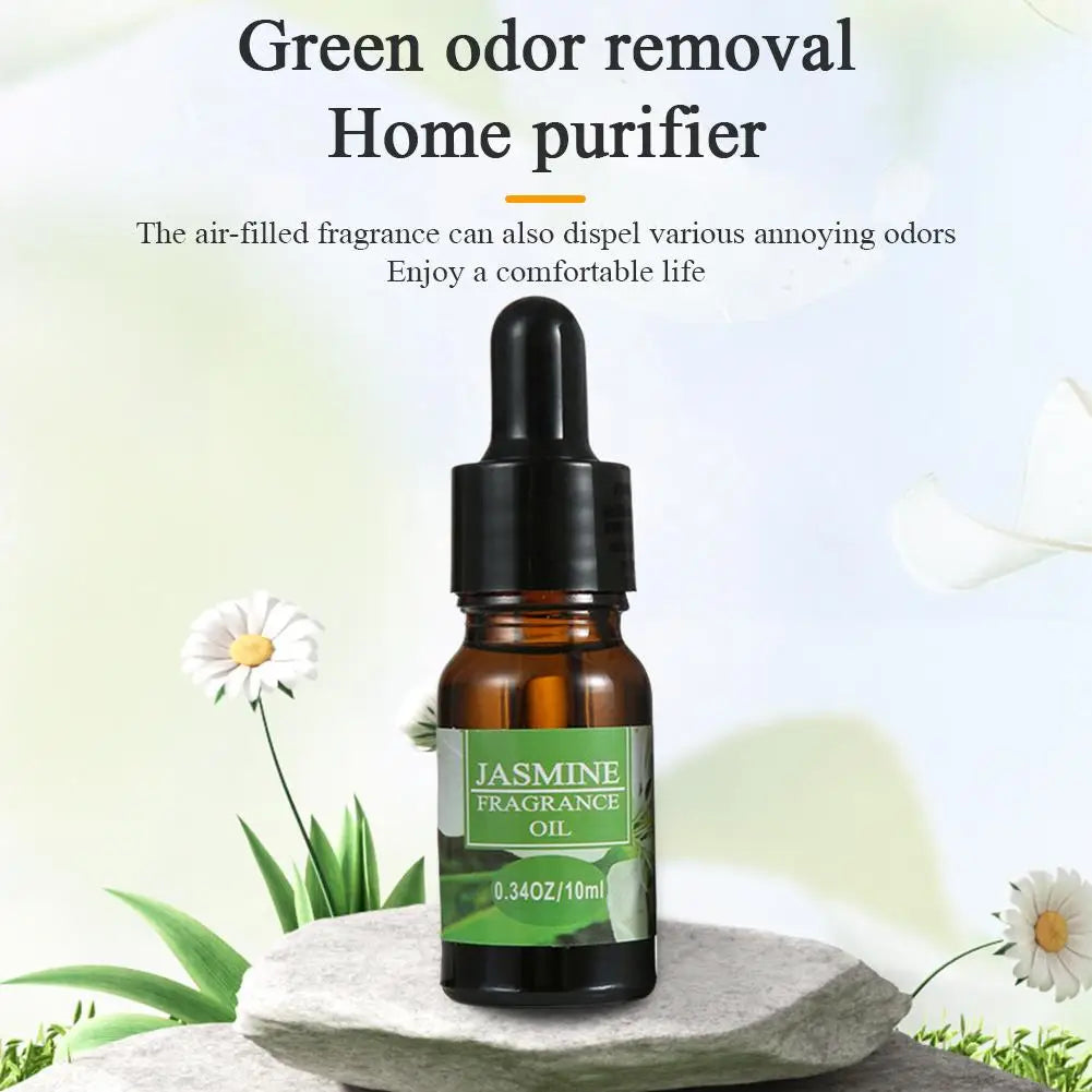 Car Aromatherapy Refill Liquid Flavor Aromatherapy with Dropper 10ml Car Air Freshener For Air Humidifier Fragrance
