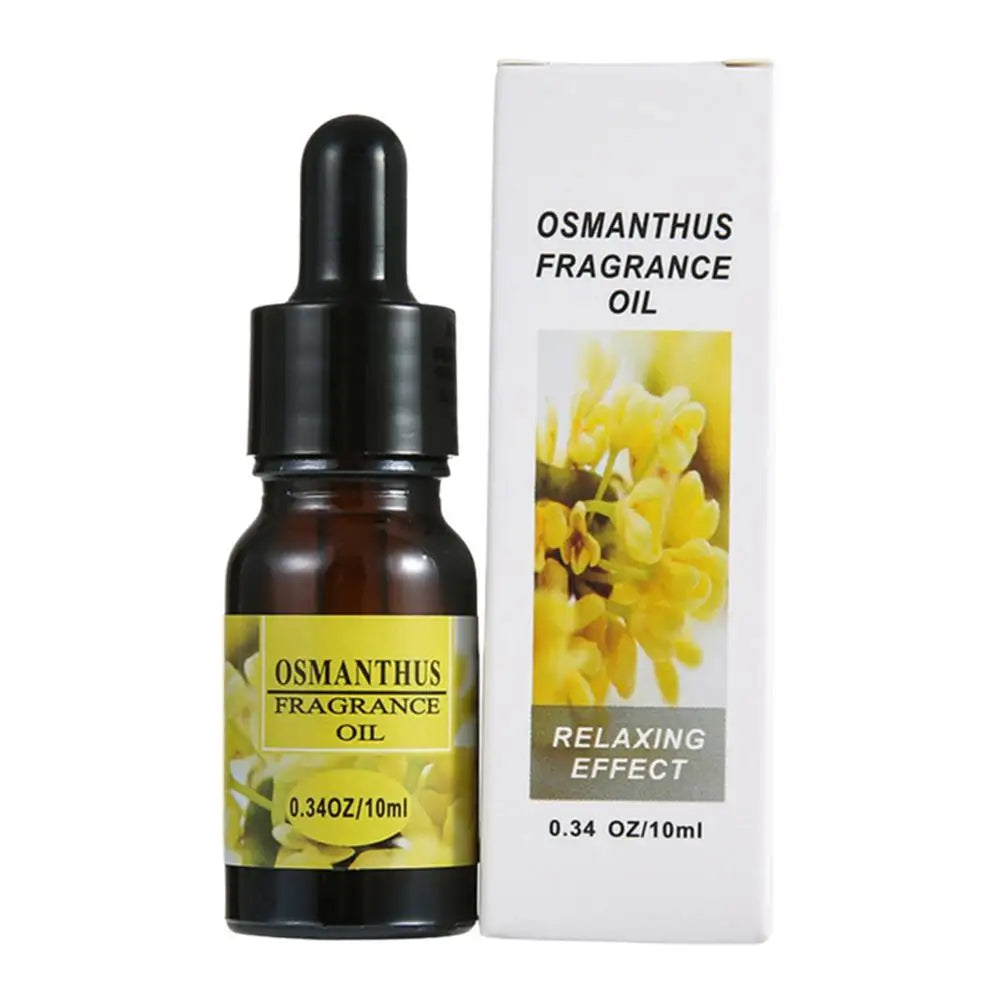 Car Aromatherapy Refill Liquid Flavor Aromatherapy with Dropper 10ml Car Air Freshener For Air Humidifier Fragrance