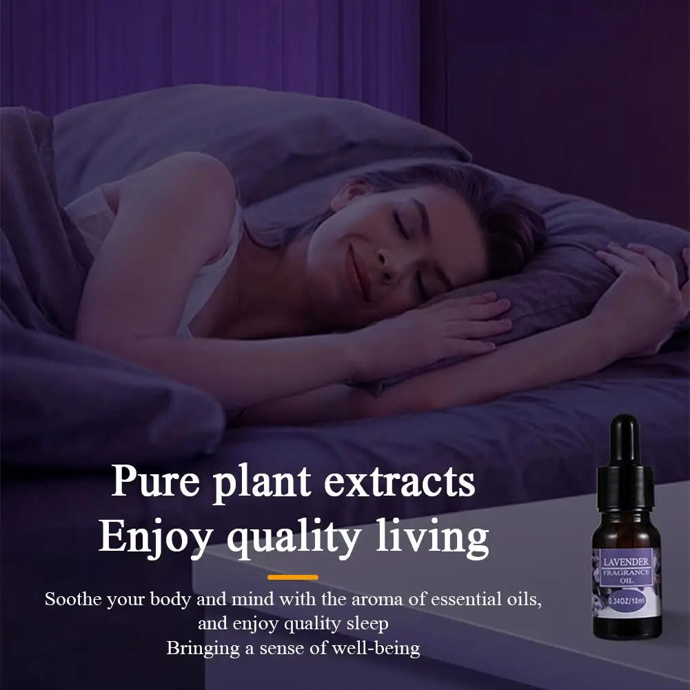 Car Aromatherapy Refill Liquid Flavor Aromatherapy with Dropper 10ml Car Air Freshener For Air Humidifier Fragrance