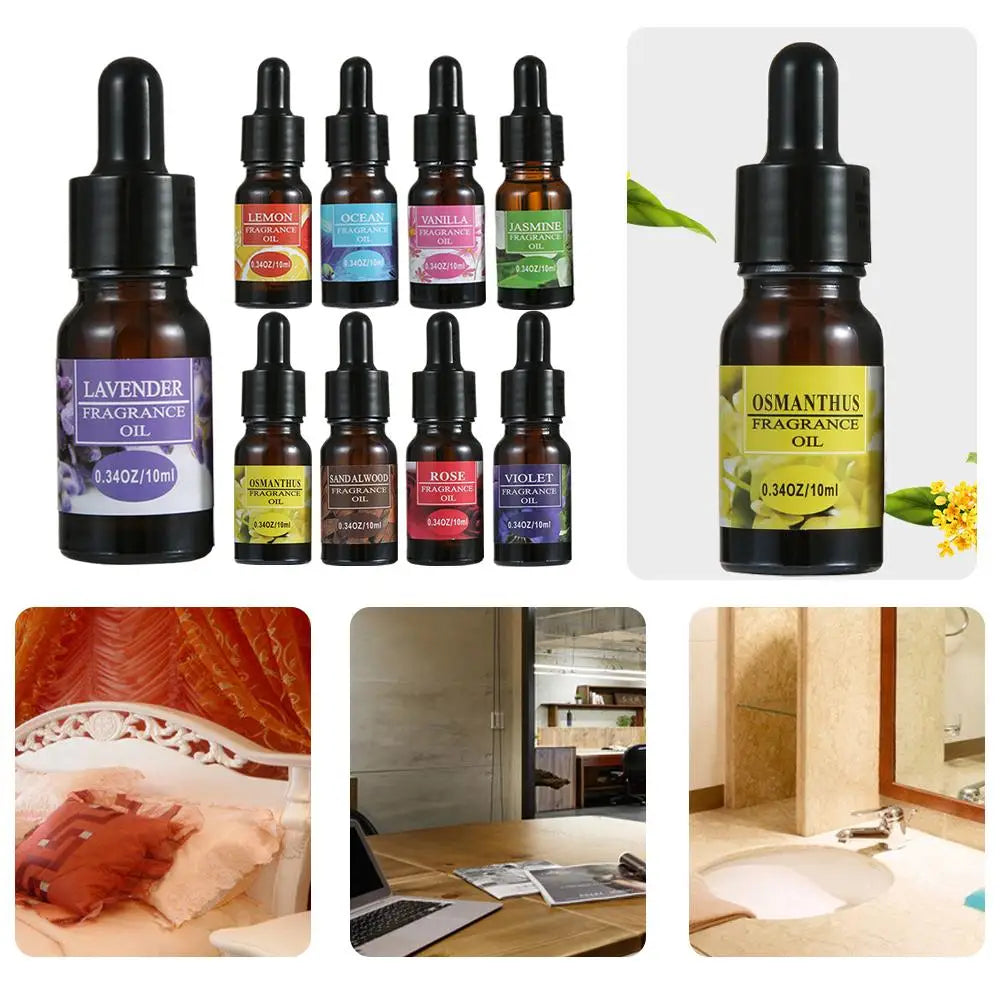 Car Aromatherapy Refill Liquid Flavor Aromatherapy with Dropper 10ml Car Air Freshener For Air Humidifier Fragrance