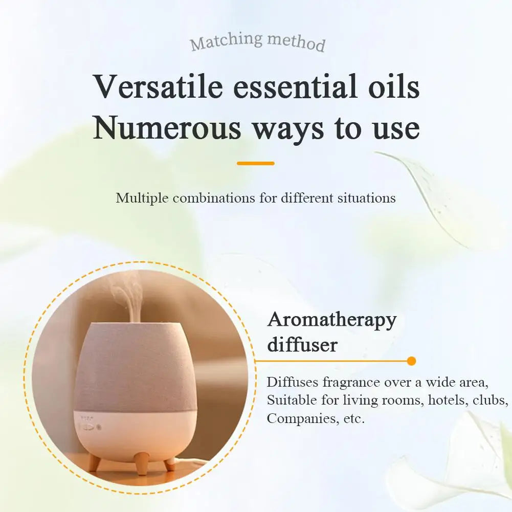 Car Aromatherapy Refill Liquid Flavor Aromatherapy with Dropper 10ml Car Air Freshener For Air Humidifier Fragrance